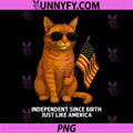 250th USA PNG, Cat Patriotic 4th of July PNG