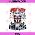 4th Of July America USA PNG, Just Here For The Fireworks Performance PNG