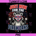 4th of July America USA PNG, Just Here for The Fireworks PNG