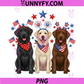4th of July Three Labrador PNG, Retrievers Patriotic Dog Lover PNG