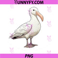 Albatross Bird PNG, Lover Illustration Albatross PNG