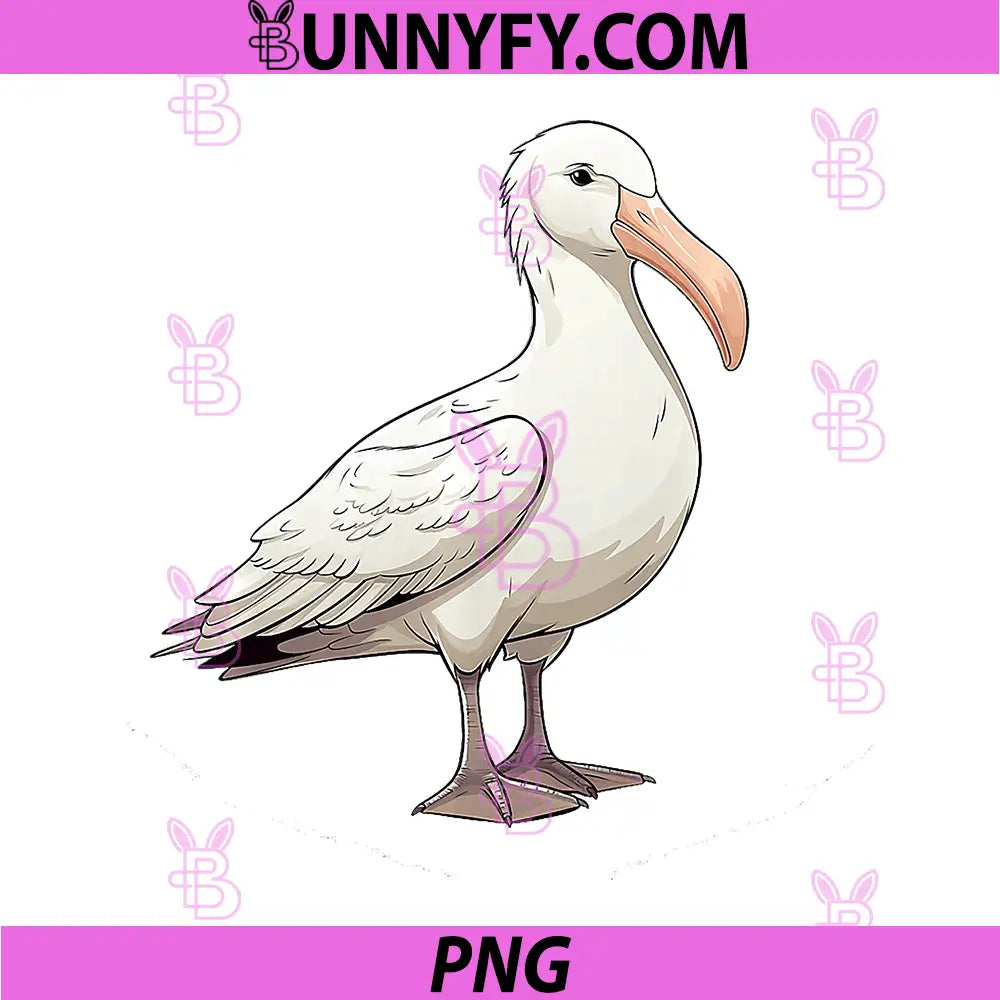 Albatross Bird PNG, Lover Illustration Albatross PNG