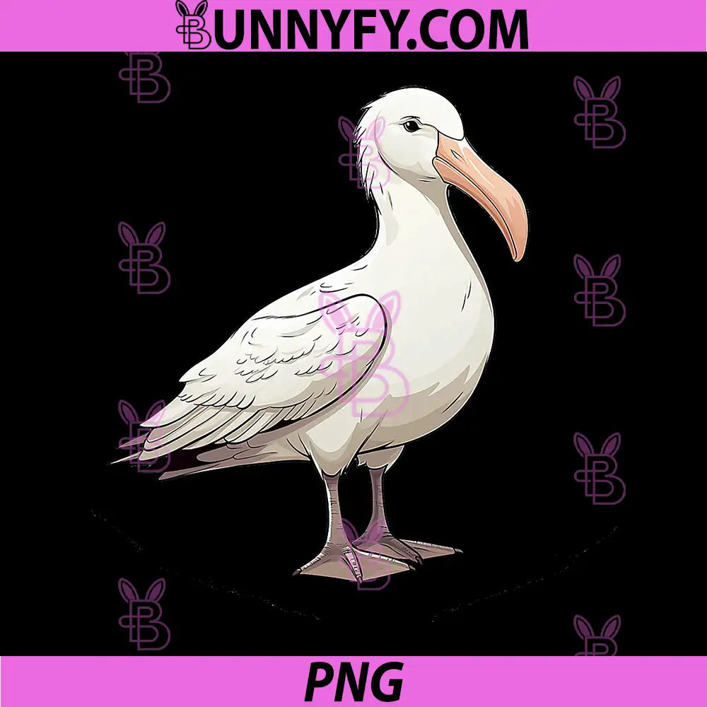 Albatross Bird PNG, Seabird Illustration PNG