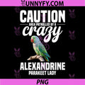 Alexandrine Parakeet Owner PNG, Caution Alexandrine Parakeet PNG