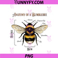 Anatomy Of A Bumblebee PNG, Funny Sarcastic Humor PNG