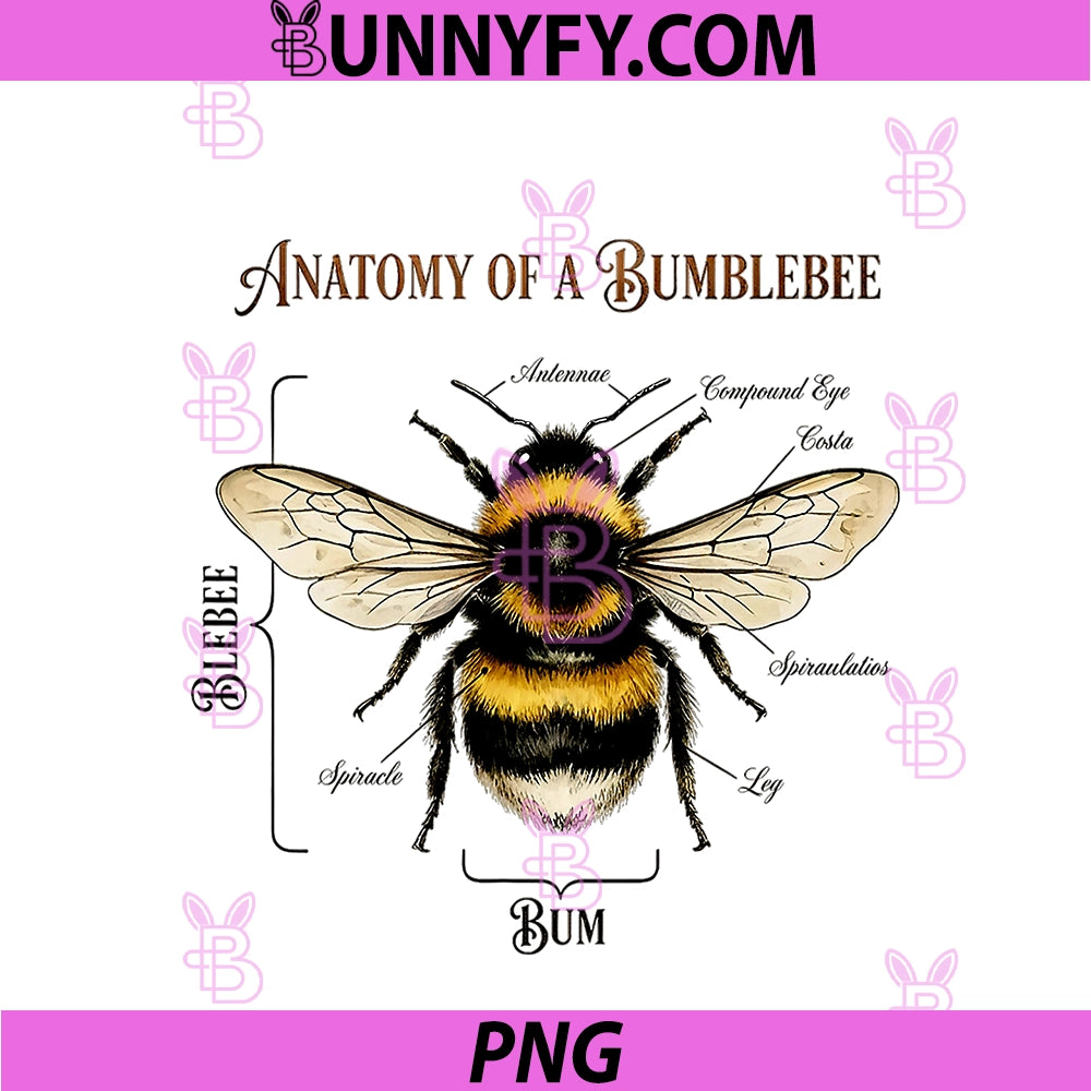 Anatomy Of A Bumblebee PNG, Funny Sarcastic Humor PNG