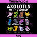 Axolotls of The World PNG, Kawaii Axolotl Salamander Pet Animal PNG