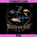 Basgiath War College Dragon Duo PNG, Fantasy Sky Dragons PNG