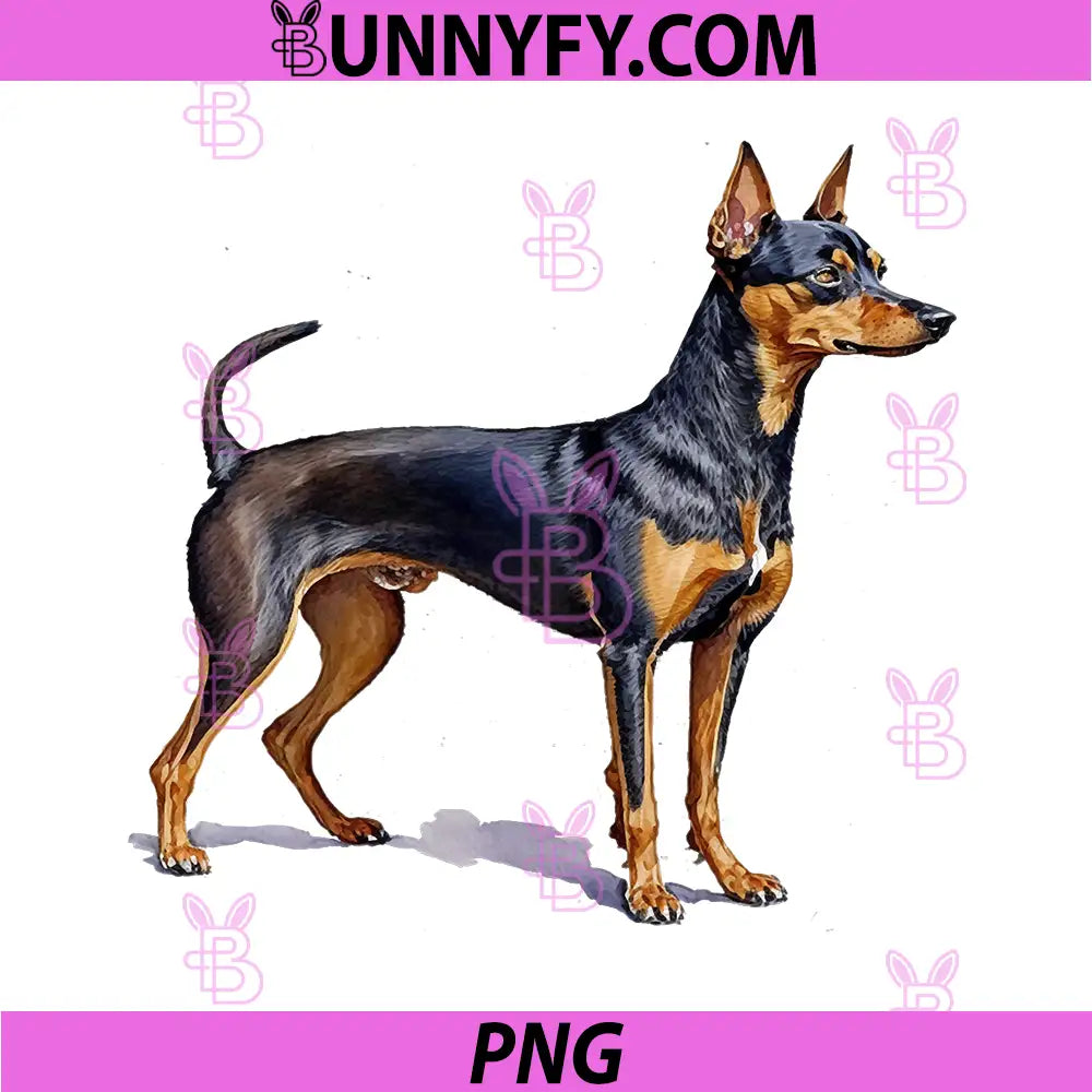 Beautiful Watercolor PNG, Miniature Pinscher Portrait PNG