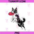 Border Collie Art PNG,  Border Collie Lover PNG