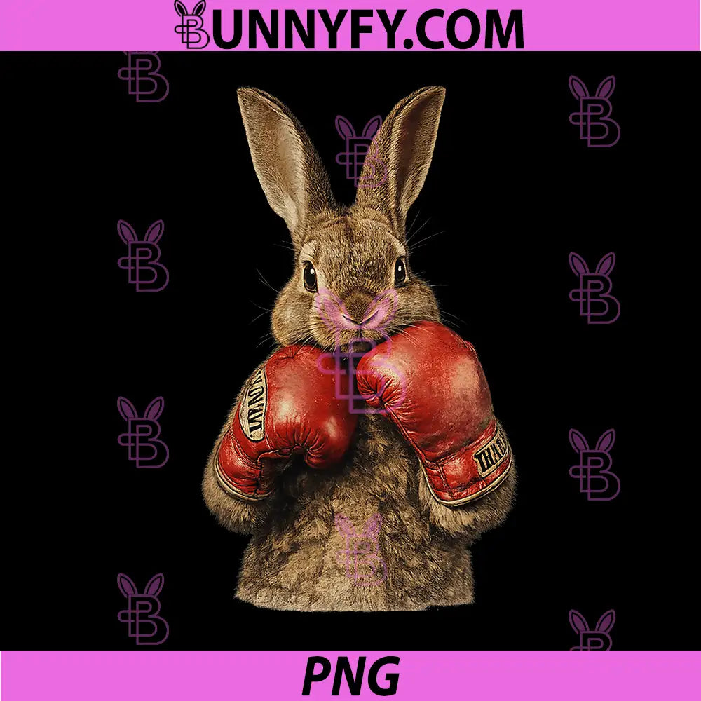 Bunny Boxing PNG, Bunny Fun PNG