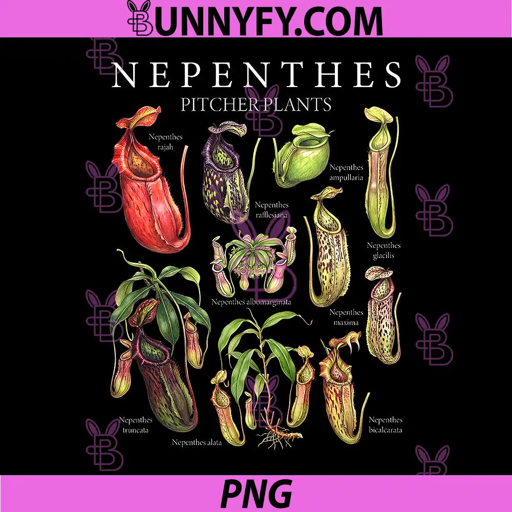 Carnivorous Plants Pitcher PNG, Botanical Nature Gardening Lovers PNG