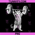 Cat Gym Funny PNG, Deadlift Cat Meme PNG