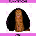 Cat With PNG, Long Hair Meme PNG
