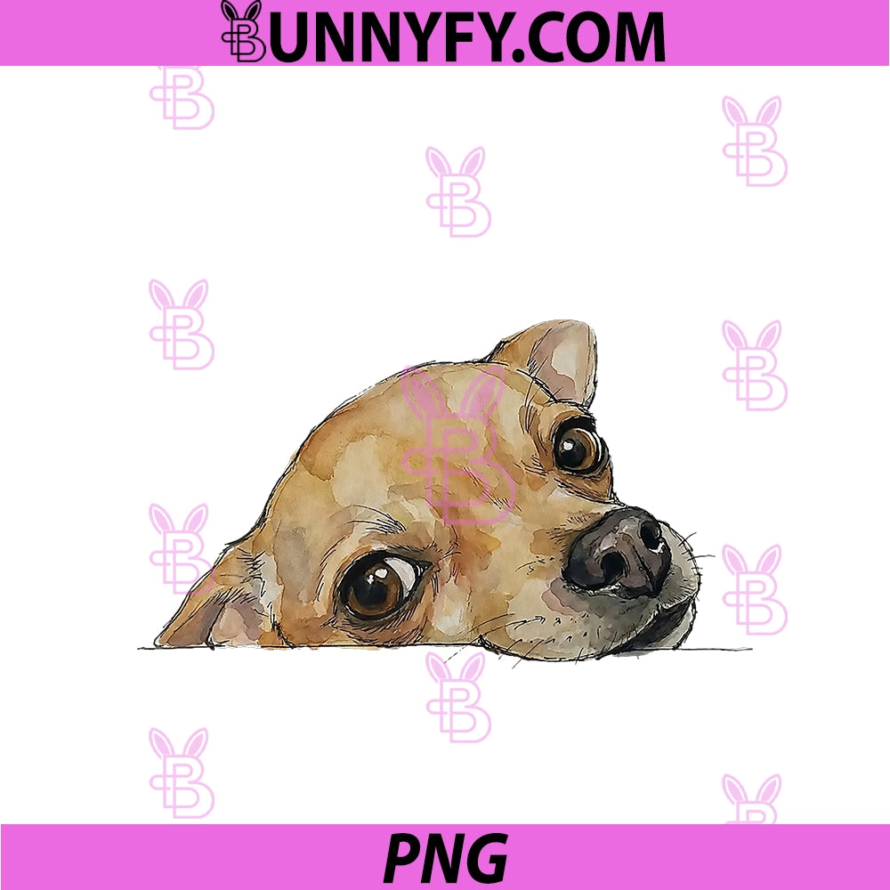 Chihuahua PNG, Face Comfort PNG