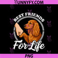 Cocker Spaniel Lover PNG, Design Beautiful English Cocker Spaniel PNG