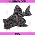 Common Pleco PNG, Hypostomus plecostomus PNG, Freshwater Aquarium PNG