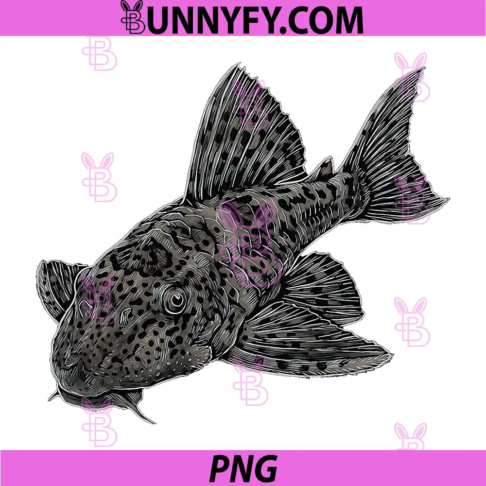 Common Pleco PNG, Hypostomus plecostomus PNG, Freshwater Aquarium PNG