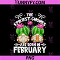 Cute Cactus Birthday Gnomes PNG, Who Born In February PNG