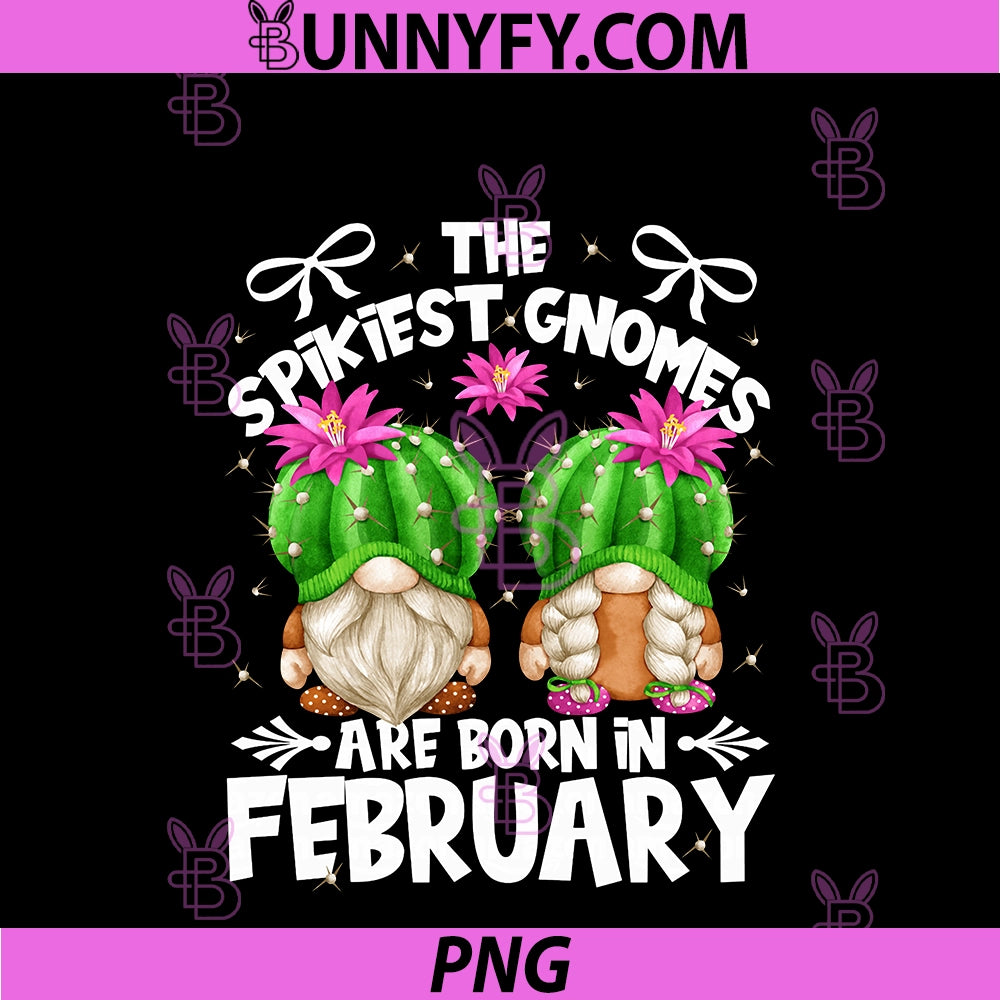 Cute Cactus Birthday Gnomes PNG, Who Born In February PNG