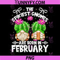 Cute Cactus Birthday Gnomes PNG, Who Born in February PNG