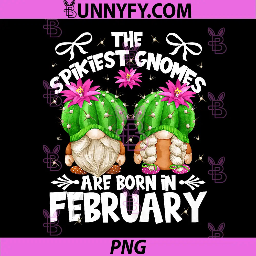 Cute Cactus Birthday Gnomes PNG, Who Born in February PNG