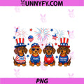 Dachshund 4th Of July 250 PNG, Anniversary USA Dog Dachshund PNG