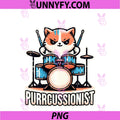 Drumming Cat Percussion Drums Percussionist PNG, Kitten Drummer Performance PNG