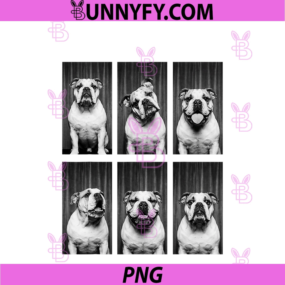 English Bulldog Photobooth Dog Owner PNG, Funny Animal Portrait PNG