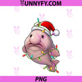 Festive Lights Xmas Santa Hat PNG, Blobfish Christmas PNG