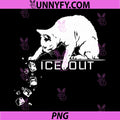 ICE Out PNG, Cat Pushing Icecubes Meme PNG