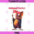 Funny Bat With Big Smile And Washington DC PNG, Flag Costume PNG