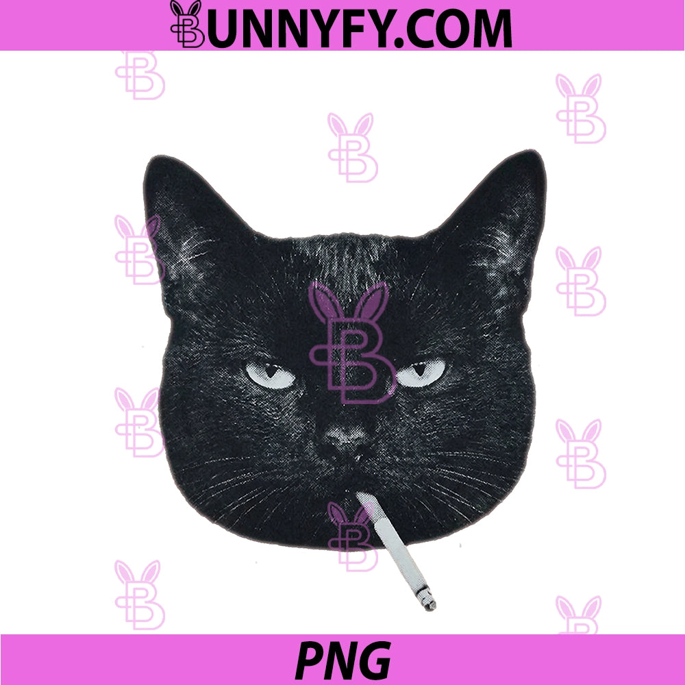Funny Black Cat Smoking PNG, Cigarette Tabby Cat Meme Brainrot PNG