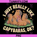 Funny Capybara Art PNG, Capybara Lover PNG