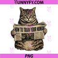 Funny Cat How to Train Your Human PNG, Lazy Kitty Joke Meme PNG