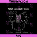 Funny Cat In Box Math Humor PNG, Design For Cat Lovers PNG