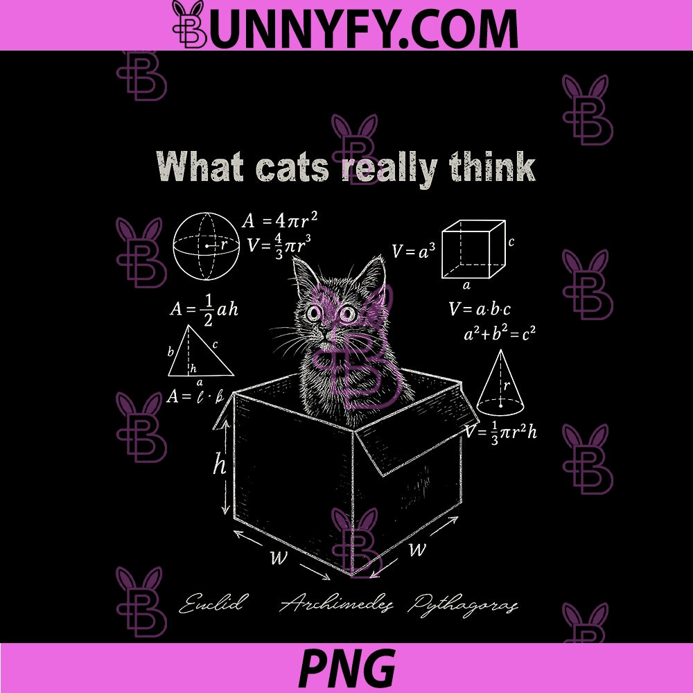 Funny Cat In Box Math Humor PNG, Design For Cat Lovers PNG