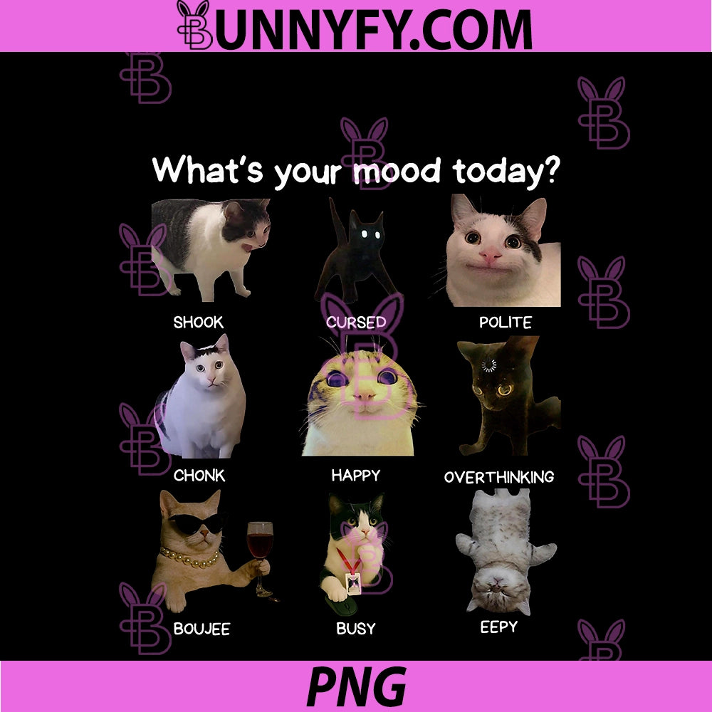 Funny Cat Meme Men Women PNG, What's Your Mood Today PNG