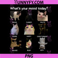 Funny Cat Meme PNG, What's Your Mood Today PNG