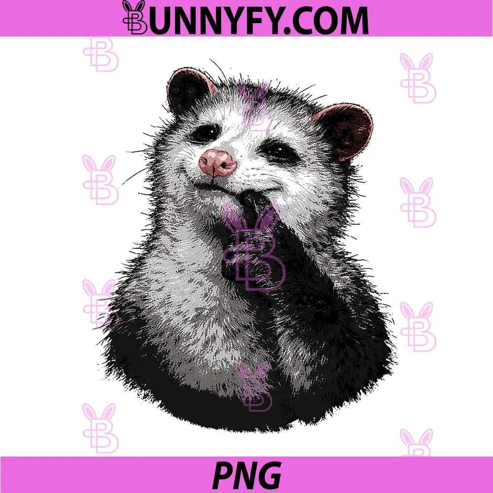 Funny Possum Meme PNG, Cheeky Opossum Cute Chaotic PNG