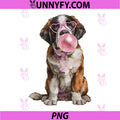 Funny Saint Bernard Blowing PNG, Wearing Glasses Cute Heart Dog PNG