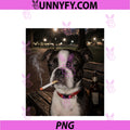 Funny Smoking Boston Terrier Dog Meme Gen Z PNG, Joke Brainrot PNG