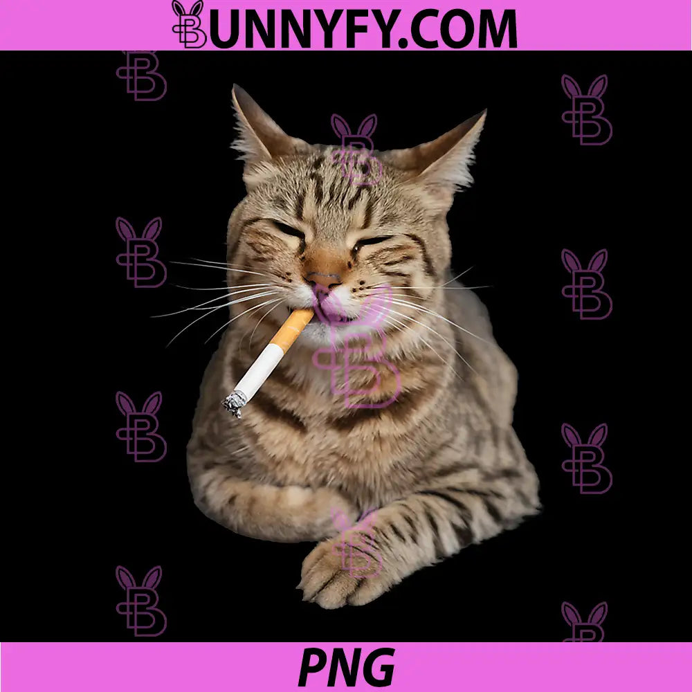 Funny Smoking Tabby Cat PNG, Meme Cigarette Kitty Lover PNG