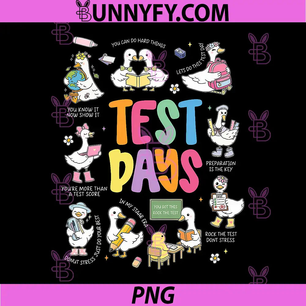 Funny Test Day Goose PNG, Collage Youre More Than A Test Score PNG