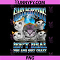 Gaslighting Isnt Real PNG, Funny Cat Meme Bootleg Tummy ache PNG