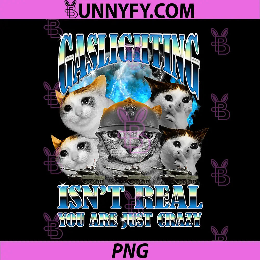 Gaslighting Isnt Real PNG, Funny Cat Meme Bootleg Tummy ache PNG