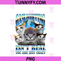 Gaslighting Isn't Real PNG, Funny Cat Meme Bootleg Tummy Ache PNG
