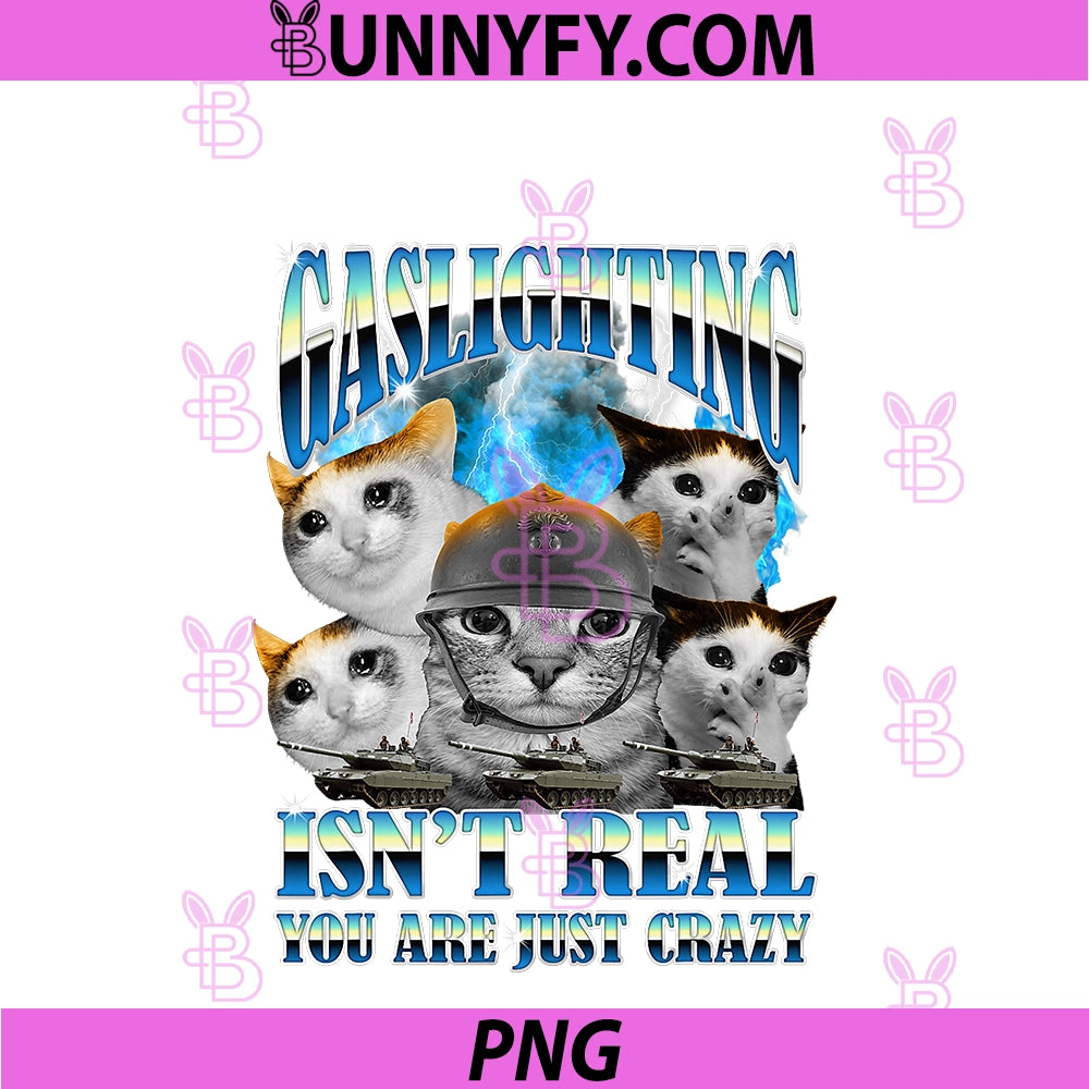 Gaslighting Isn't Real PNG, Funny Cat Meme Bootleg Tummy Ache PNG