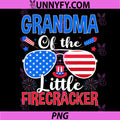 Grandma of The Little Firecracker PNG, Funny Family 4th of July PNG