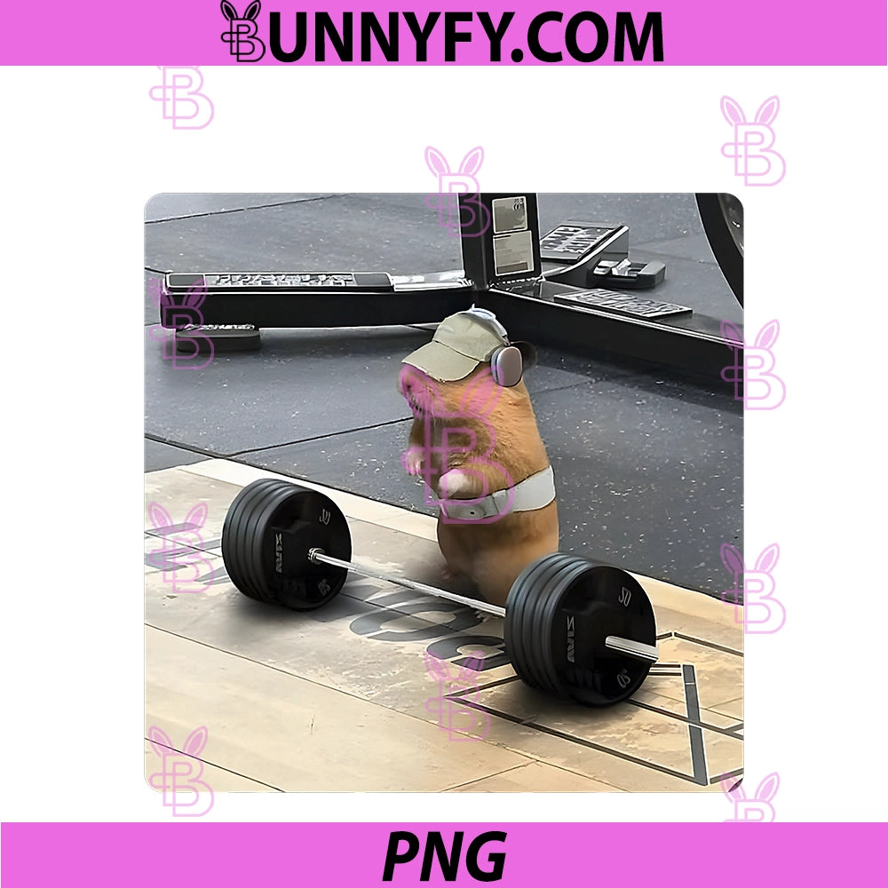 Hamster Deadlift Training PNG, Funny Cute Rat Weightlifting Meme PNG